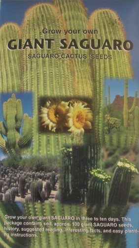 Grow Your Own Giant Saguarondash Contains Aprox 100 Cactus Seedsndash Southwest Novelty Giftndash Souvenirndash Plant Your