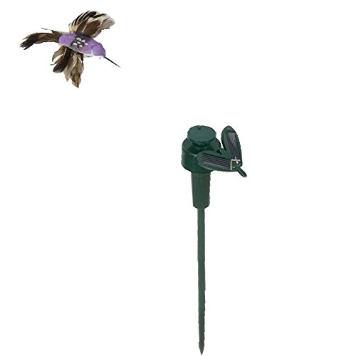 Saguaro Solar  Battery Powered Flying Wobble Fluttering Hummingbird Bird For Garden Yard Plants Flowers Patio