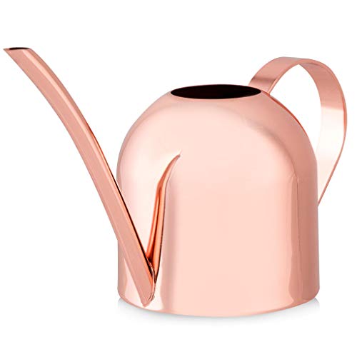 Smouldr Mini Plant Watering Can Indoor Rose Gold Small Watering Can Helps You Water Tiny House Plants Succulents Bonsai or Herb Gardens - Steel Plant Waterer for Miniature Flower Pots - 15 Ounces