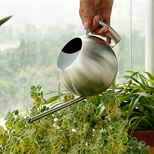 xmke96 Long Spout Spherical Succulent Plants Flowers Watering Can Pot Garden Tool 1L