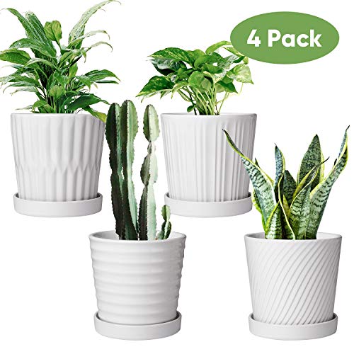 Flower Pots6 Inch Succulent Pots with DrinageIndoor Round Planter Pots with SaucerWhite Cactus Planters with HoleOutdoor Graden Pots 4 Pack