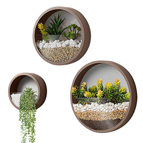 Modern Indoor Succulent Planter Metal Iron Circle Round Wall Hanging Planter Pack of 3 Coffee