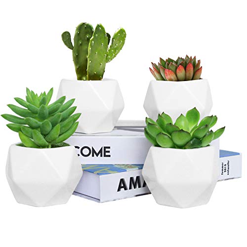 Plant Pot Rosoli 4pcs Ceramics Indoor Planter Garden Pots for Succulents African Violets Cactus Herbs - 35 Inch Flower Pots with Drainage Hole and Waterproof Tray White