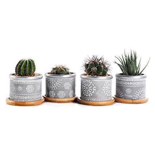 SUN-E 4In Set 295Inch Cement Succulent Planter PotsCactus Plant Pot Indoor Small Concrete Herb Window Box Container for Home and Office Decor Birthday Wedding Gift Idea With Bamboo Tray Grey-022-023