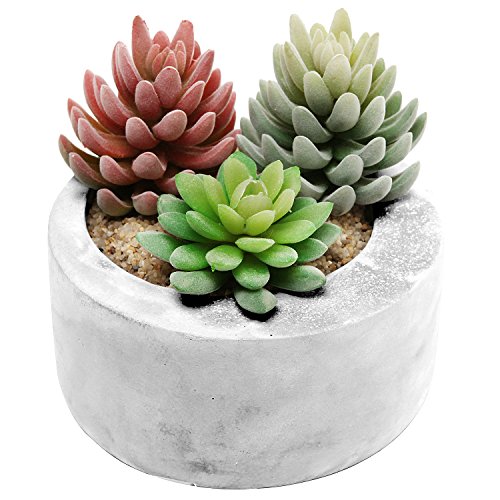 7 Gray Cement Modern Circular Succulent Pot Planter  Candleholder  Storage Bowl for Keys Coins