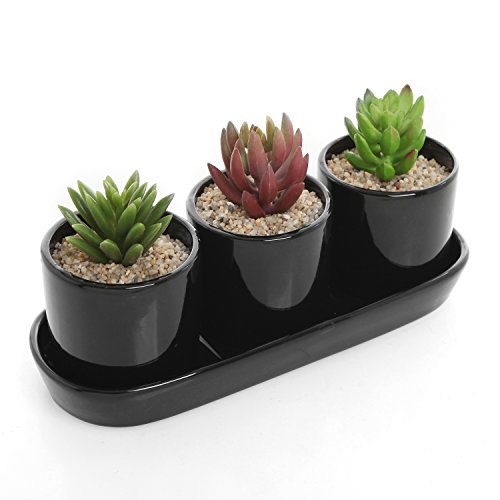 Black Ceramic Contemporary Design Succulent Plant Holder Display Set W 3 Potsamp 1 Water Draining Tray