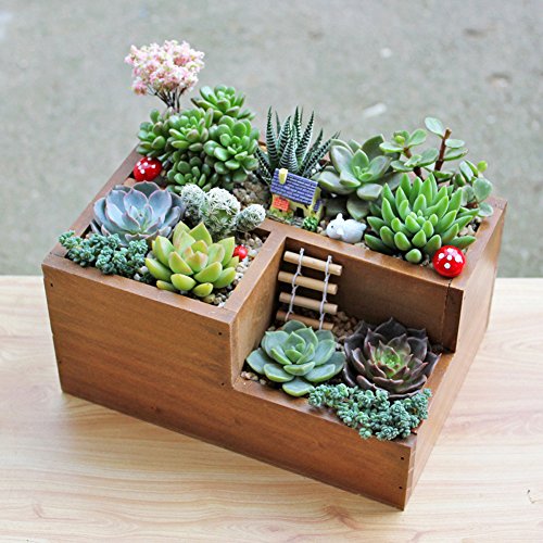 Easydeal Wooden Garden Window Box Trough Planter Succulent Flower Bed Pot three Gird