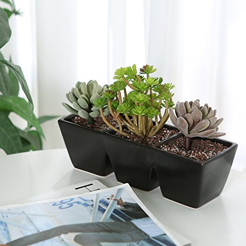 Modern Black Ceramic Rectangular 3 Section Succulent Plant Pot  Herb Garden Planter - MyGift