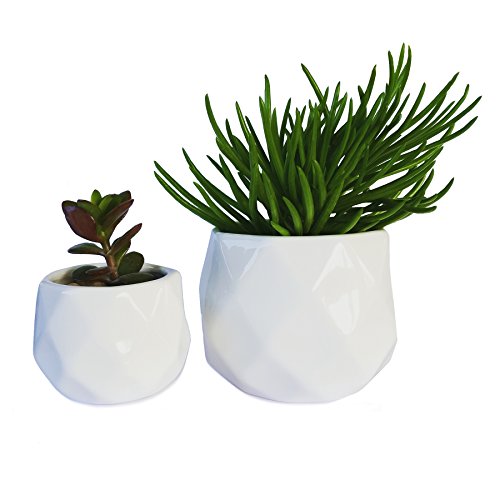 Modern Succulent Planters - Set of Two Geometric Succulent Pots 2 White