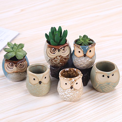 ROSE CREATE 6 Pcs 25 Inches Owl Pots Little Ceramic Succulent Bonsai Pots with a Hole - Pack of 6