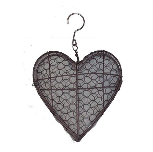 Succulent Pot Iron Hanging Planter Plant holder Box Metal Racks Wire Live Wreath Form- Heart Shape-Come Without Plant