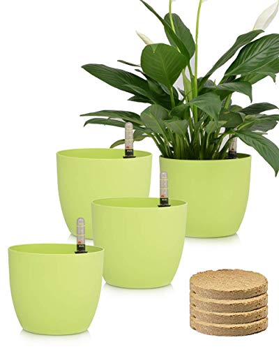 6 Self Watering Planter Pots with Coco Soil for Home Garden Outdoor Indoor Office Modern Decorative Flower Pots for All House Plants Flowers Herbs Succulents Green