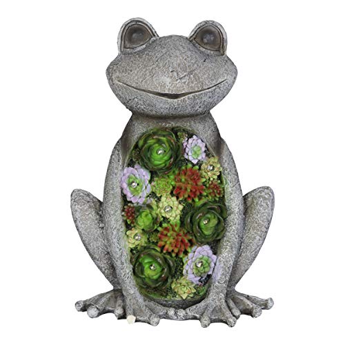 Exhart Solar Frog Light Garden Statue - Solar Light Succulent Décor Inside Frog Marque - Forest Themed Outdoor Garden Decor Weather Resistant Resin Statue 11 by 16 inches