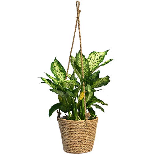 REVOLUMINI Natural Seagrass Hanging Planter - Handmade Indoor Flower Pot Holder - Used for Indoor Outdoor Succulents and Small Plants