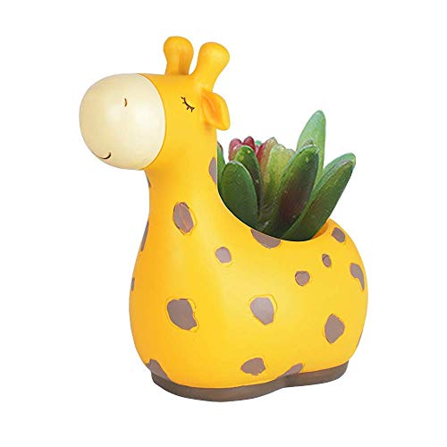 2D8V 2019 New Micro Landscape Small Natural Cute Animal Plant Flower Pot Succulent Potted Plant Flower Pot Indoor Garden Panda Decorative Flower Pot Decoration Color  B