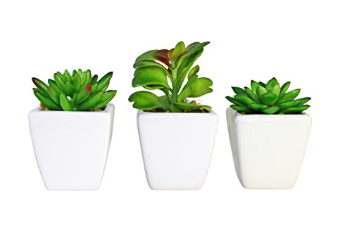 Set of Three 3 Decorative Faux Succulent Potted Plants in White Ceramic Pots