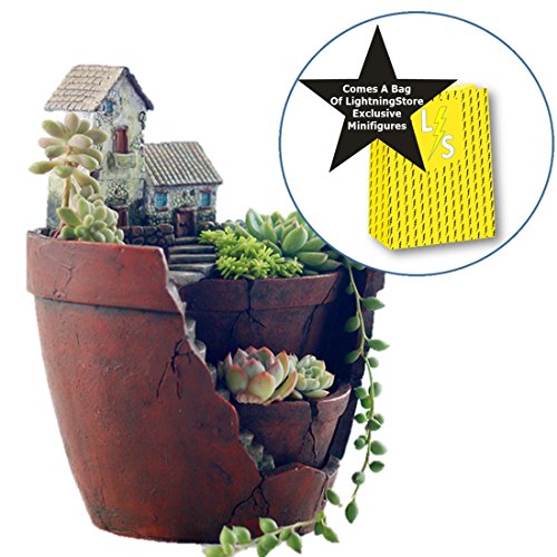 Lightningstore Succulent Plants Pot Microlandschaft Personalized Office House Balcony Landscape Pot Creative Decorative