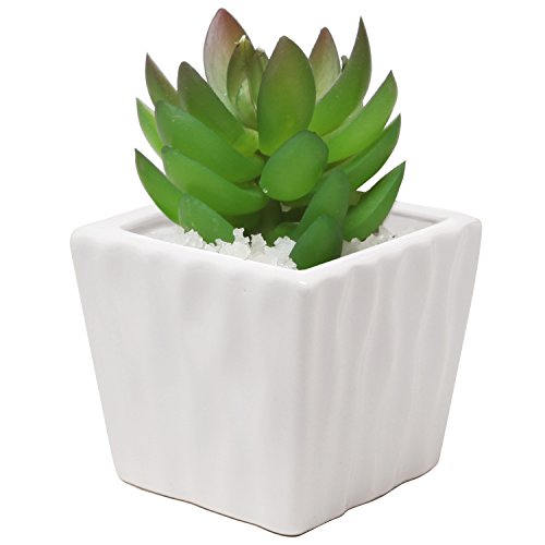Modern Home Decor Ribbed Design Small White Ceramic Succulent Plant Container Mini Planter Pot - Mygift&reg