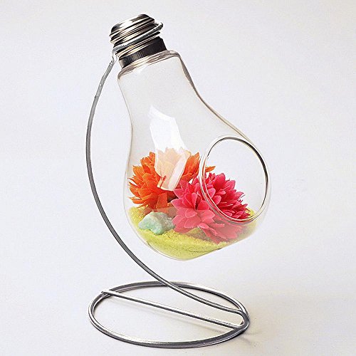 Charming Clear Glass Bulb Vase Air Plant Terrarium  Succulent Planter Container W Silver Metal Stand By Ucquality