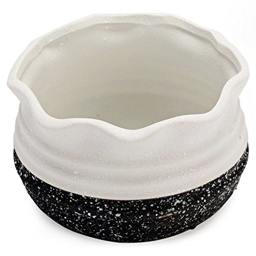 EPGardening Delicate Ceramic Flower Planter PotSucculent Plant Container51 InchBlackwhite