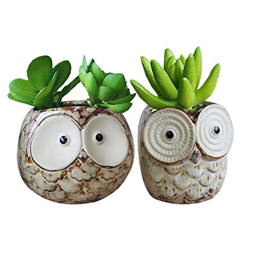 Gelive Set Of 2 Owl Planter Flower Pot Succulent Planter Container Decorative Vase Garden Cart Window Box Pen