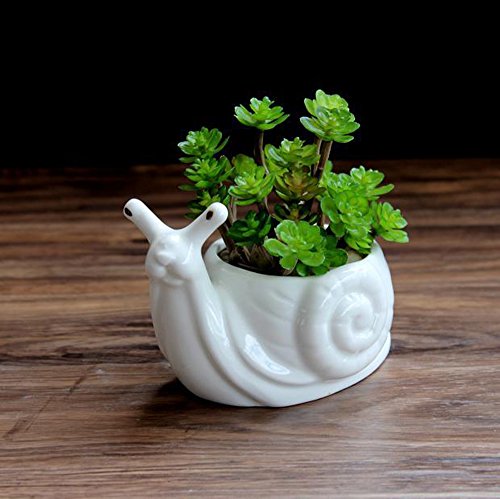 HEYFAIR White Ceramic Cactus Succulent Planter Pot Container Gardens Snail