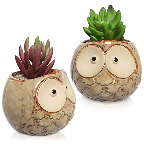 Set Of 2 Owl Design Mini Ceramic Plant Container Flower Pots Window Sill Succulent Planters Brown
