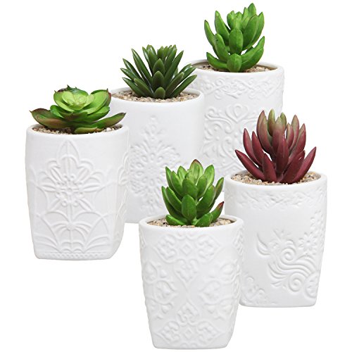 Set Of 5 Miniature White Unglazed Ceramic Engraved Art Design Pots  Succulent Plant Containers - Mygift&reg