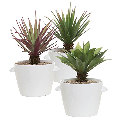 Set of 3 Modern Small White Ceramic Succulent Planters Kitchen Herb Garden Containers  Flower Pots