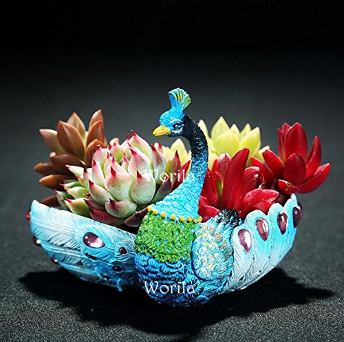 Vintage Peacock Shape Handmade Succulent Plant PotCactus Plant PotFlower PotContainerPlanter Blue