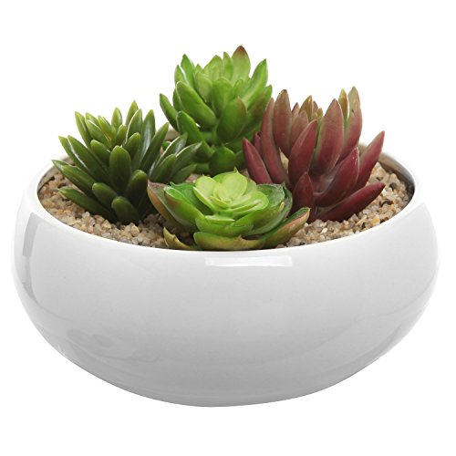 65 Inch Round White Ceramic Succulent Plant Flower Planter Pot small Decorative Display Bowl