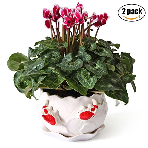 Ceramic Succulent Planter Flower Pot Decorative Double Fish Design with Drainage PlateWhite-2 Pack