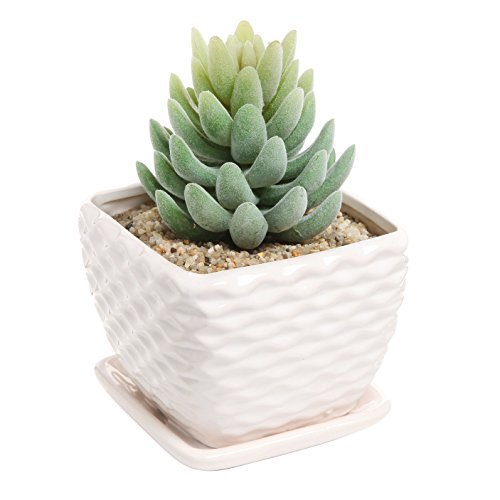 Contemporary White Ceramic Succulent Planter Flower Pot W/ Decorative Wavy Coil Design & Drainage Plate