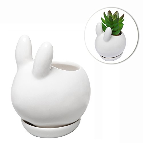 Decorative Bunny Rabbit Design White Mini Ceramic Plant Flower Pot Succulent Planter W/ Saucer - Mygift®