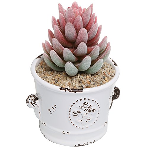 French Country Rustic White Ceramic Succulent Planter Flower Pot / Decorative Accessory Jar - Mygift®