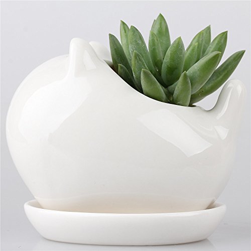 Little Cub White Ceramic Succulent Plant Flower Pot Flowerpot Planter Pots Milky White With Tray Neck With Bell