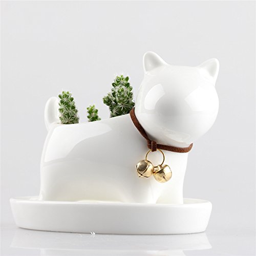 Little Dog White Ceramic Succulent Plant Flower Pot Flowerpot Planter Pots Milky Cream White With Tray Neck With