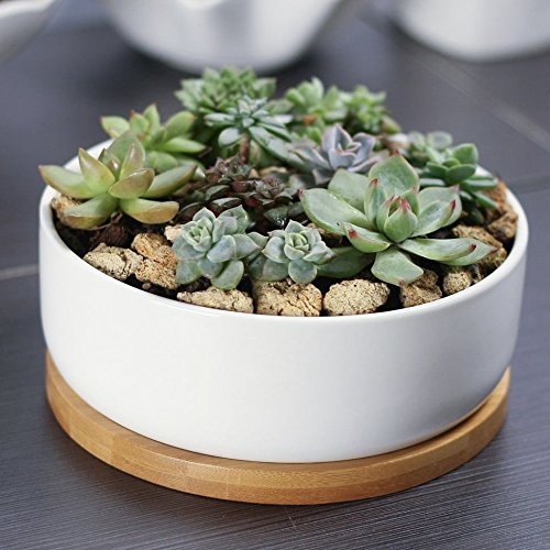 Mkono Small Ceramic Plant Pot White Succulent Planter -- Round