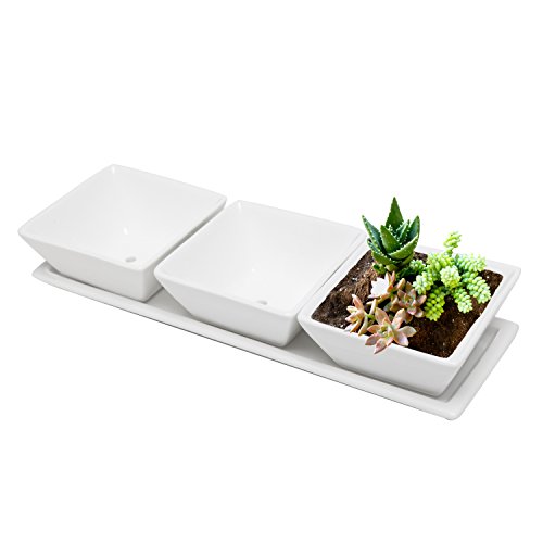 Set Of 3 Decorative Modern White Square Flower, Succulent Planters / Dishes With Display Tray