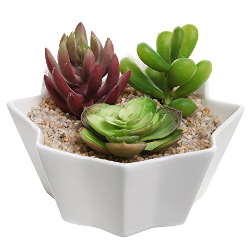 White Ceramic Star Shape Design Succulent Planter Box / Small Tabletop Herb Plant Flower Pot - Mygift®
