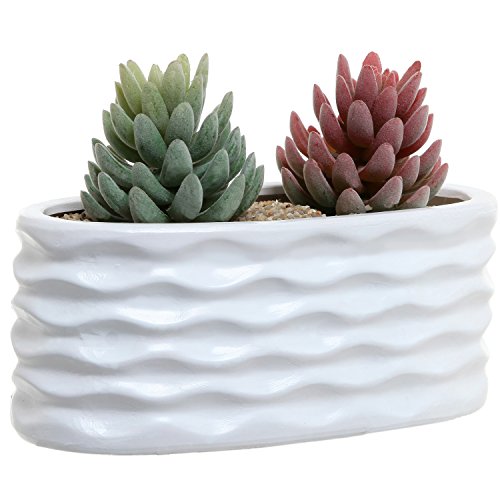 White Ceramic Wavy Design Art Deco Oval Succulent Planter Pot  Windowsill Herb Garden Container - Mygift