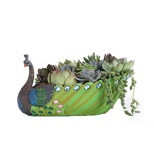 Garden - Indoor  Outdoor Planter Set Peacock Succulents Flower Pots Beautiful Home Decor