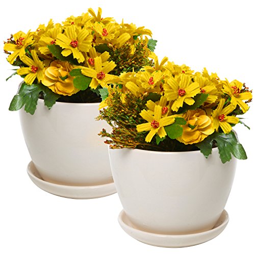Mygift 4 Inch Ceramic Succulent Planter Flower Pots With Saucer Set Of 2 Off-white