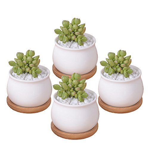 ROSE CREATE 4 Pcs 275 Inches White Mini Ceramic Succulent Plant Pots with Saucers Thumb Flower Pots with Hole - Pack of 4