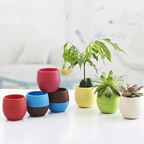 dipshop Colorful Flower Pot Succulents Flowerpot Home Office Decor  Red 