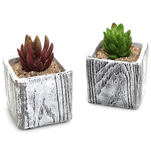 3 Inch Textured Cement Square Box Succulent Plant Pots  Natural Stone Design Cactus Planters - Set Of 2