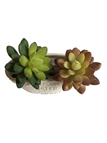 Lucky Six 10&quot Artificial Succulent Plantsset Of 2