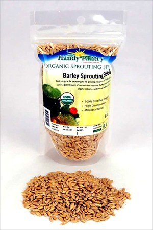 Organic Barley Seeds - 8 Oz - Whole hull Intact Barleygrass Seed - Ornamental Barley Grass Juicing - Grain