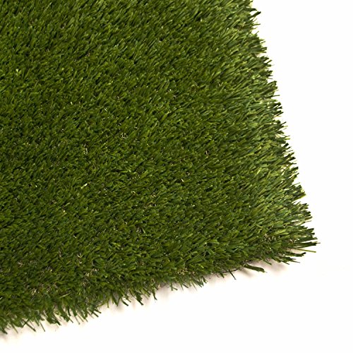 ALEKO 2x3 6 sqf IndoorOutdoor Artificial Garden Grass U Shape Monofil P