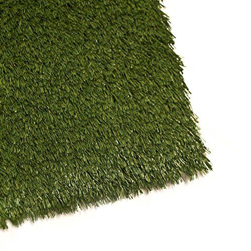 ALEKO 2AG2X3WS 2x3 Feet 6 sf IndoorOutdoor Artificial Garden Grass W Shape Monofil PE Lot of 2